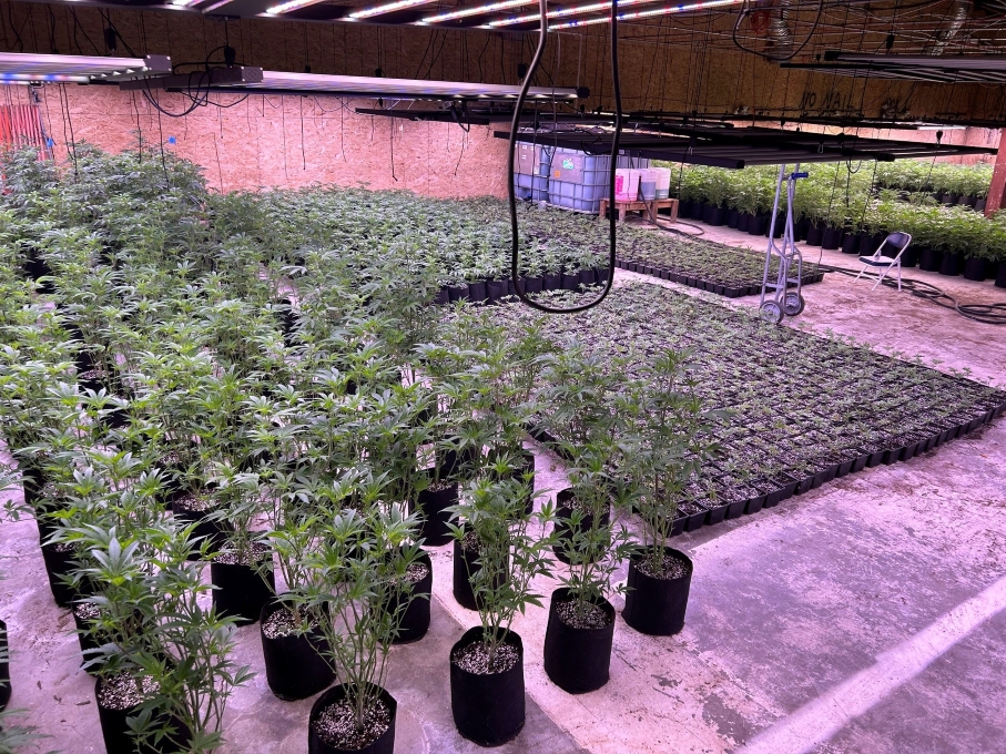 A warehouse in Oakland containing an illicit cannabis nursery with thousands of plants